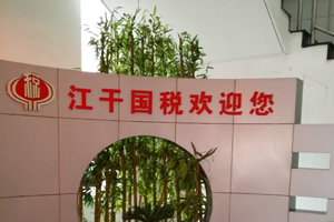 江干區(qū)國稅局杭州除甲醛公司案例