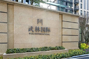 新湖武林國際